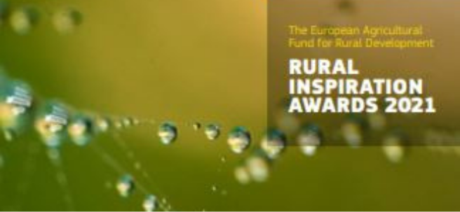  Folleto de proyectos Feader 'Rural Inspiration Awards 2021'