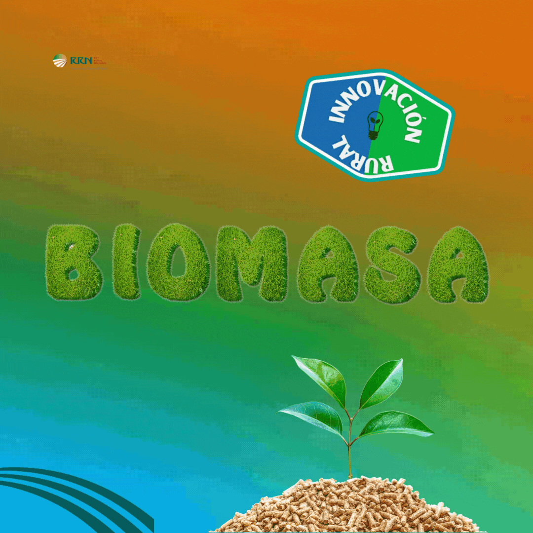 La biomasa se convierte en un factor de desarrollo para el medio rural de Murcia