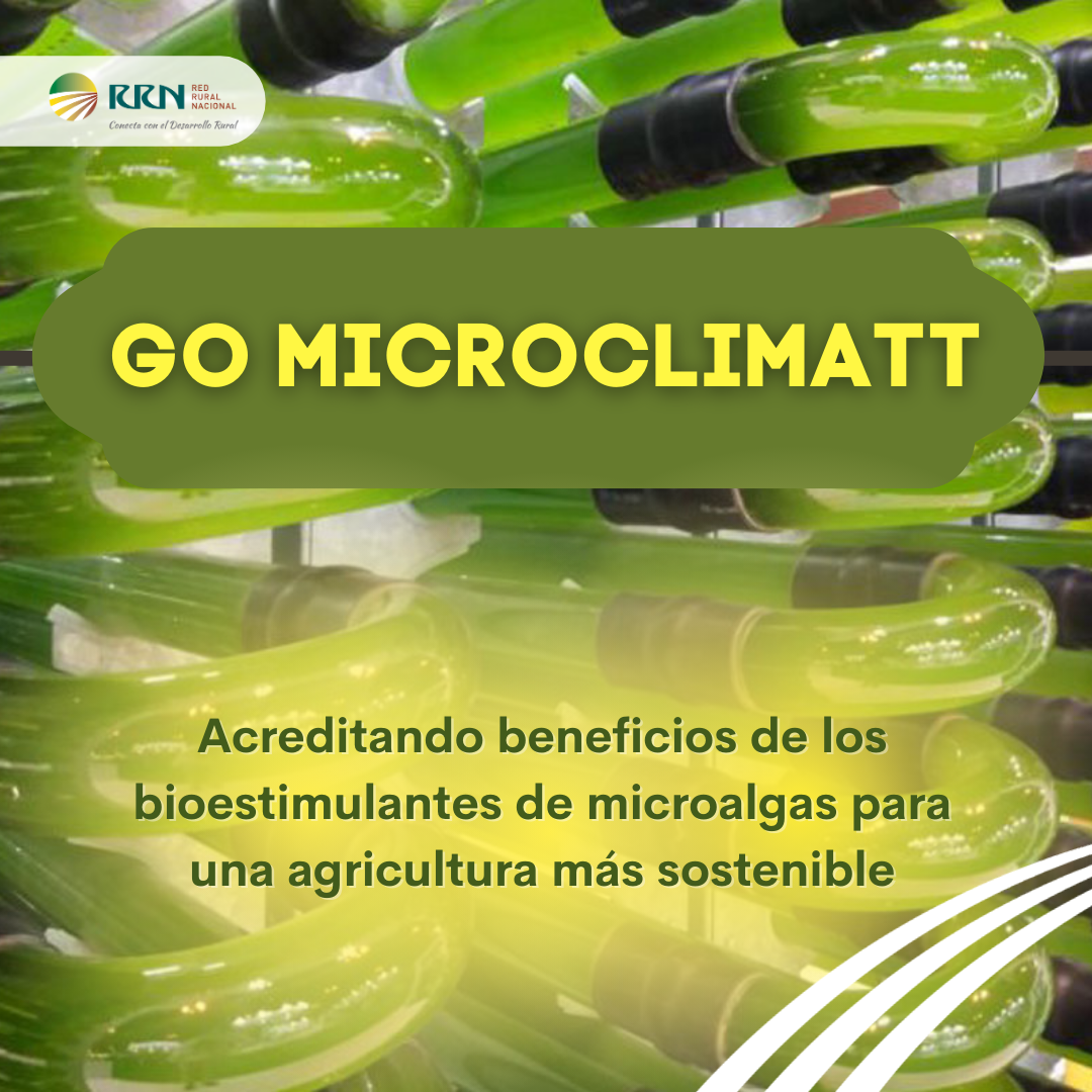 El Grupo Operativo Microclimatt estudia el uso de bioestimulantes de microalgas como alternativa a los fertilizantes