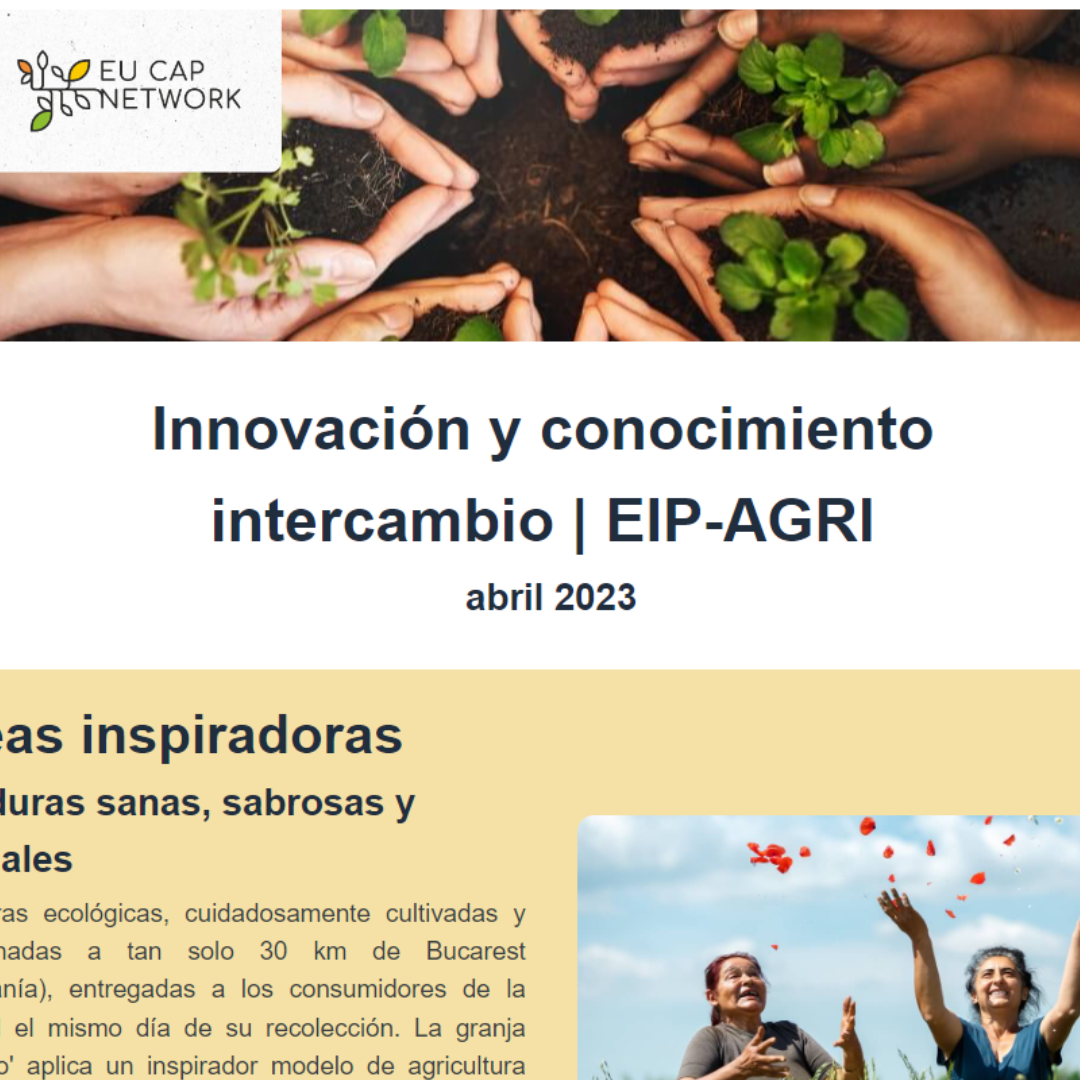 Boletín de Innovación e intercambio de conocimientos | EIP-AGRI