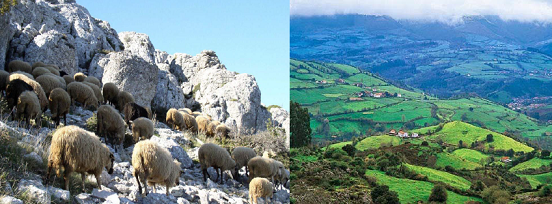 Las producciones alimentarias de montaña en España