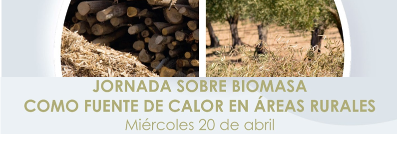 Cabecera-Jornada Biomasa como fuente de calor en áreas rurales