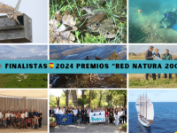 Premios Natura 2000 2024